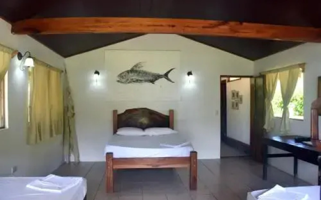 Jungla Del Jaguar