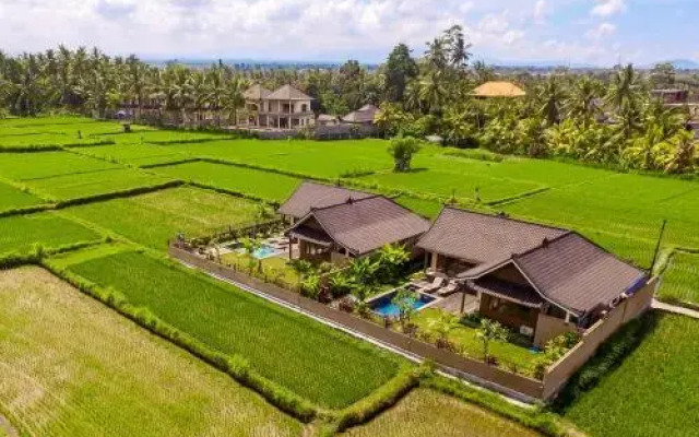 Villa Bali Green