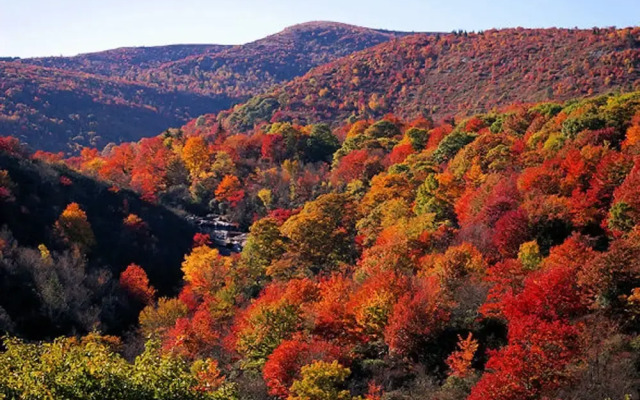Wolf Creek Cabin - Windy Hollow