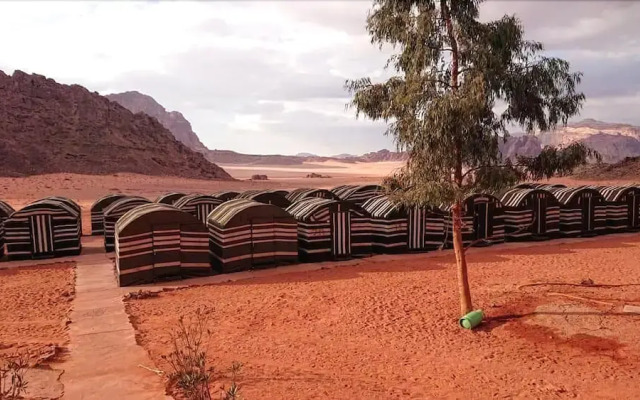 Wadi rum light camp