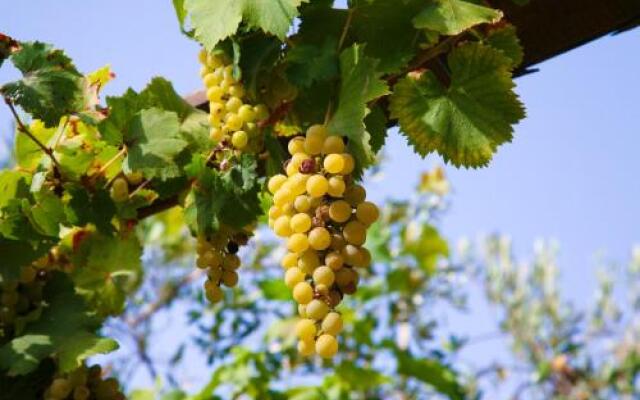 Casa Vacanze Gli Ulivi