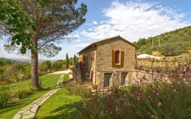 Antica Quercia Verde