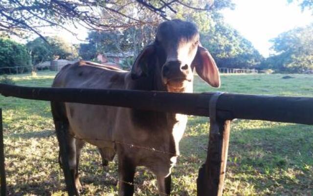 Seaforth Farm B&B