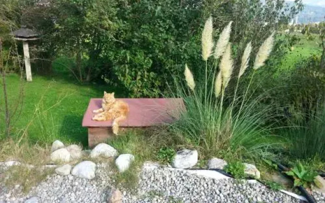 Ferienwohnung Prestele