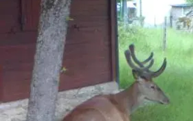 Appartamenti De Sanctis