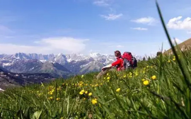 Alpen-Chalets Achensee