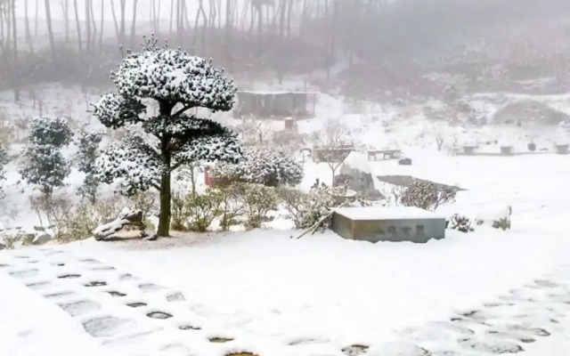 Seosan Pinehealing Pension