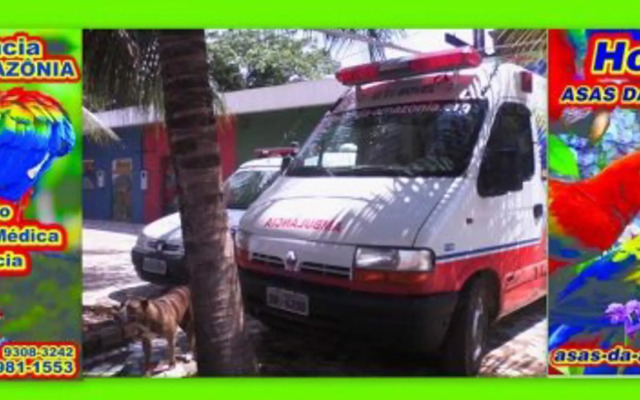 Hostel Asas da Amazonia