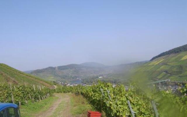 Weingut Matthias Dauns