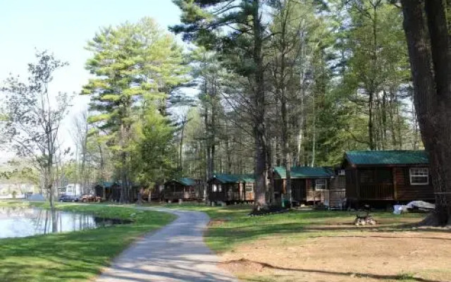 Alpine Lake Lakefront Cabin 8