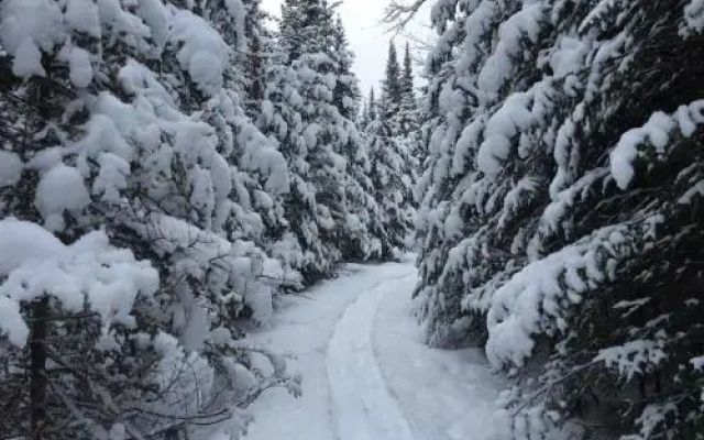 Lodge Nature Laurentides