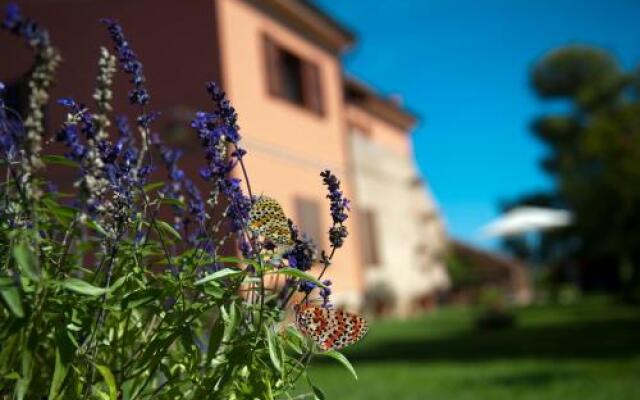 L'Erbaiuola b&b di Franca Gibellini