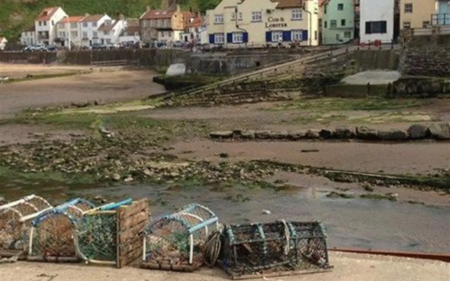 The Endeavour Restaurant With Rooms