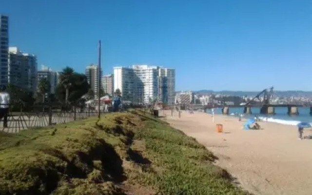 Arriendo Viña Playa Acapulco