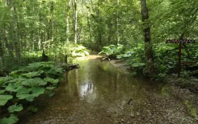 Country House Eco village Ćorić