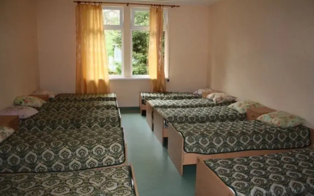 Sosnovaia Poliana Hostel