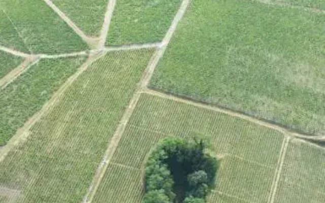 Gîte le Chêne du Py