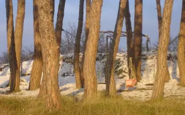 Casa Rural Masía Barbera