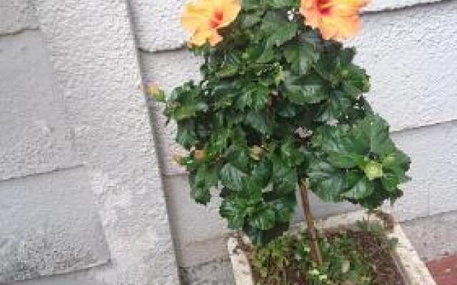 Bio-Pointment Guest Cottage