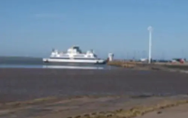 Ferienhaus - Herzmuschel