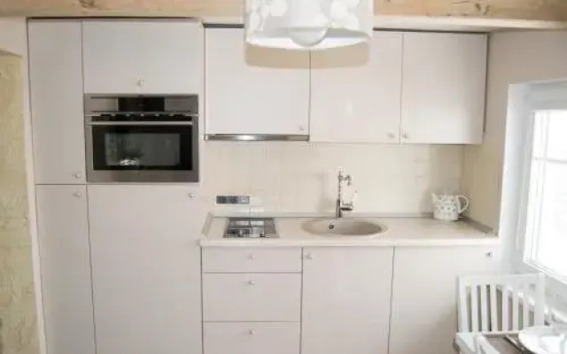 Skruzdynės Apartamentai