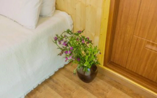 Dodam Pension