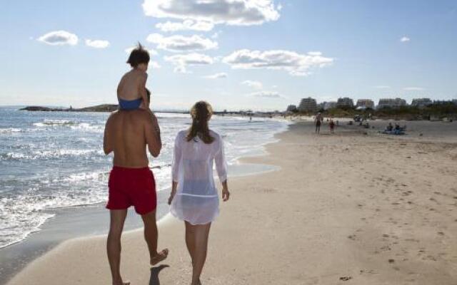 Vittoria Immobilier - Coquillage