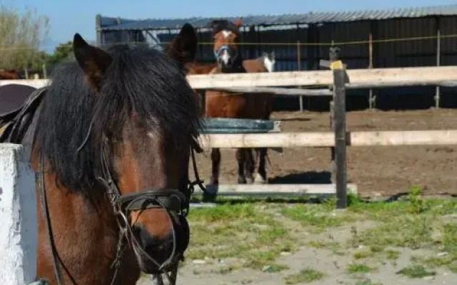 Circolo Velico Lucano