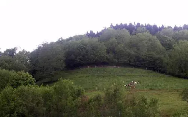 Gîte Henry