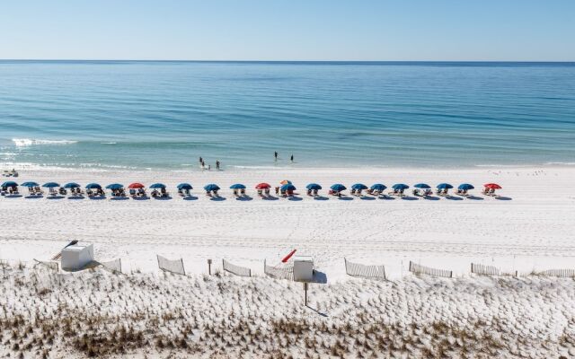 Pelican Isle 502 by RedAwning