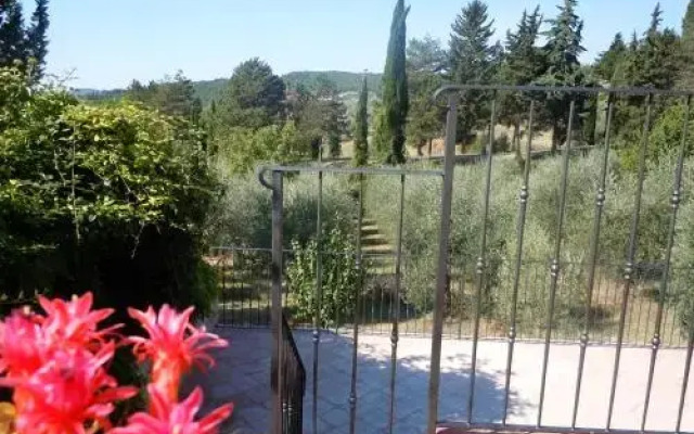 Campo Agli Olivi