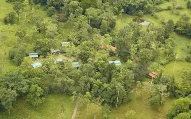 Selva Bananito Lodge