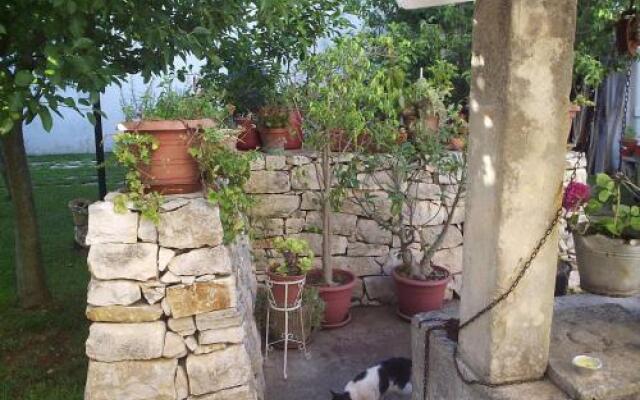 B&B RimediRo