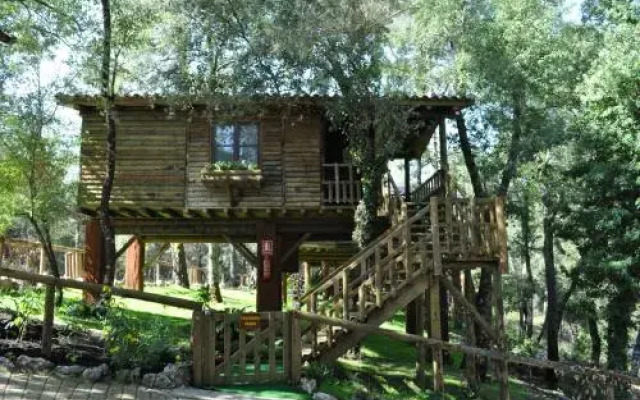 Los Nidos De Santa Maria