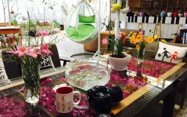 Blooming Azaareas International Youth Hostel