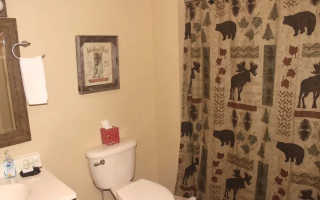 Tweetsie Retreat - 3 Br Home