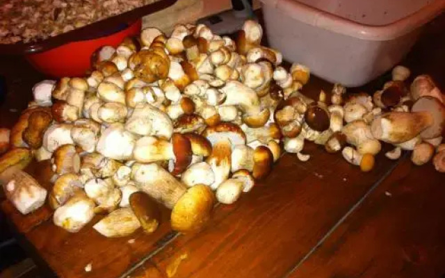 Tsisarske Urochyshe