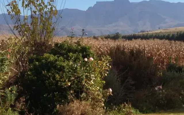 Little Acres B & B