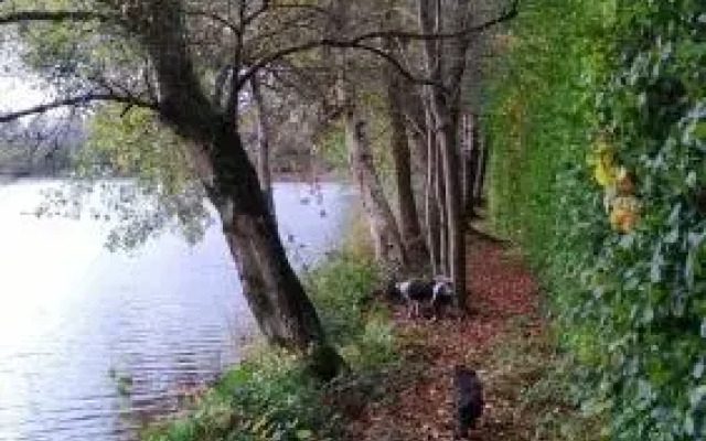 La cabane sur l'eau