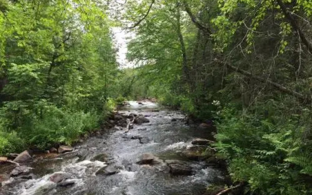 Lodge Nature Laurentides