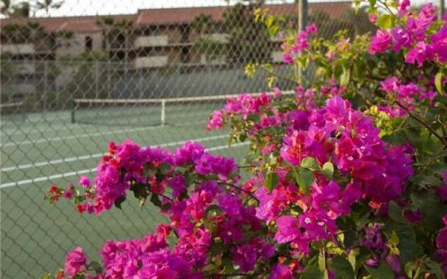 Maui Vista 1322 - 1 Br Condo