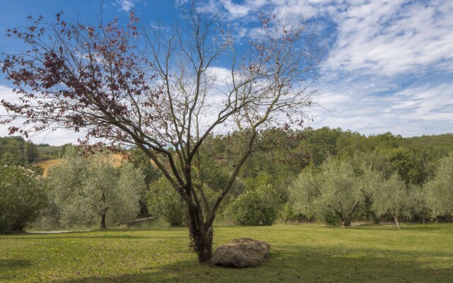 Country House Bosco Lazzeroni