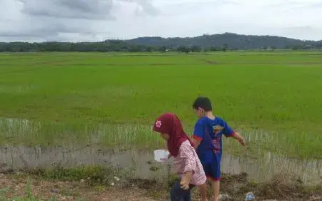 Arissa Langkawi Holiday House