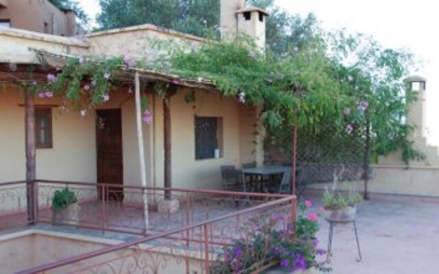 Dar Zitoune - Guest House