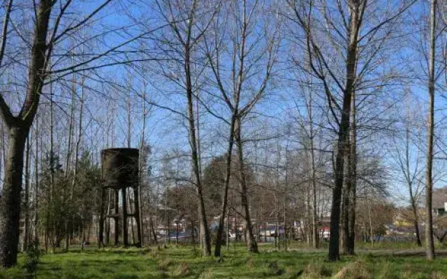 Cabañas Islote Haverbeck