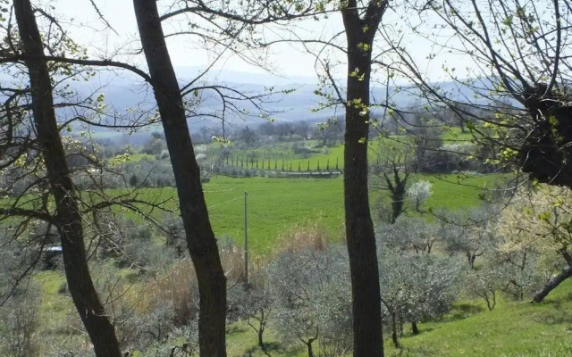 Verdidea - Colombaio