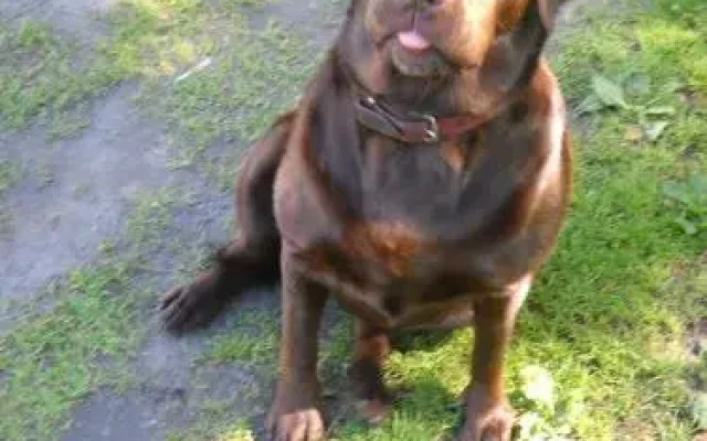 Agroturystyka Chłopy