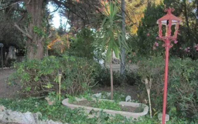 Garden Lucia