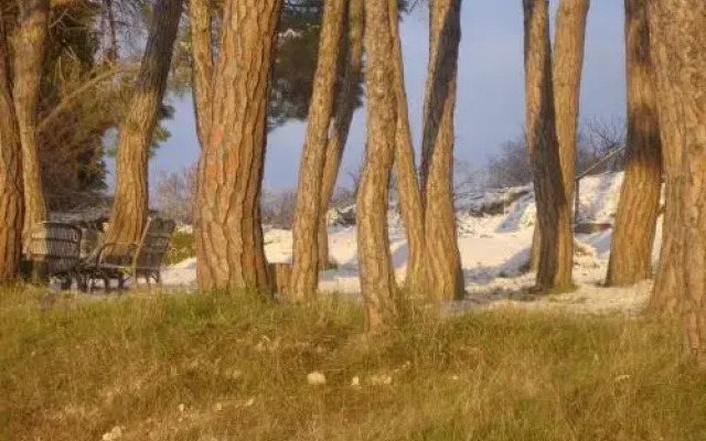 Casa Rural Masía Barbera