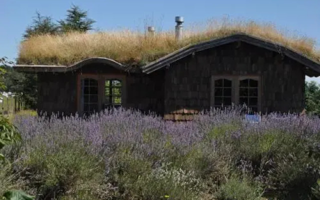 Hostal Zapato Amarillo